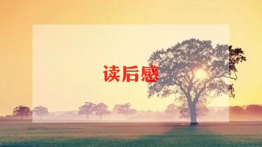 《红奶羊》读书笔记范文精选