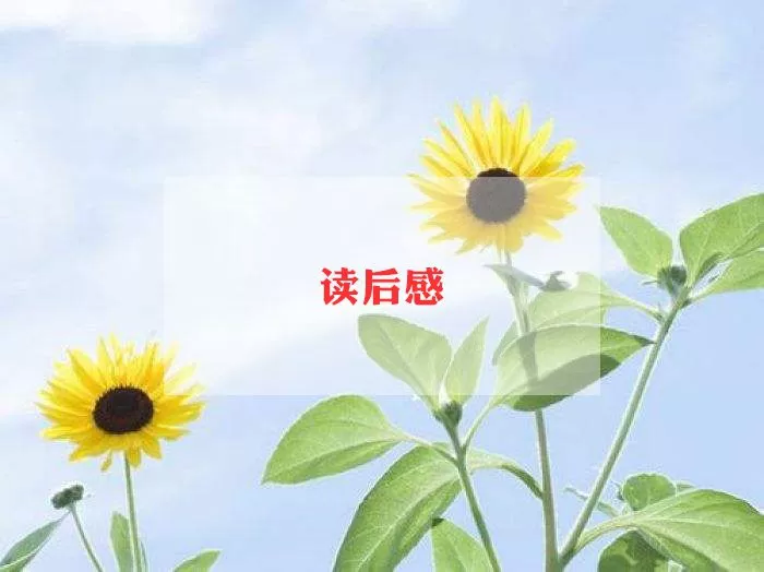 关于《宝葫芦的秘密》读书笔记最新